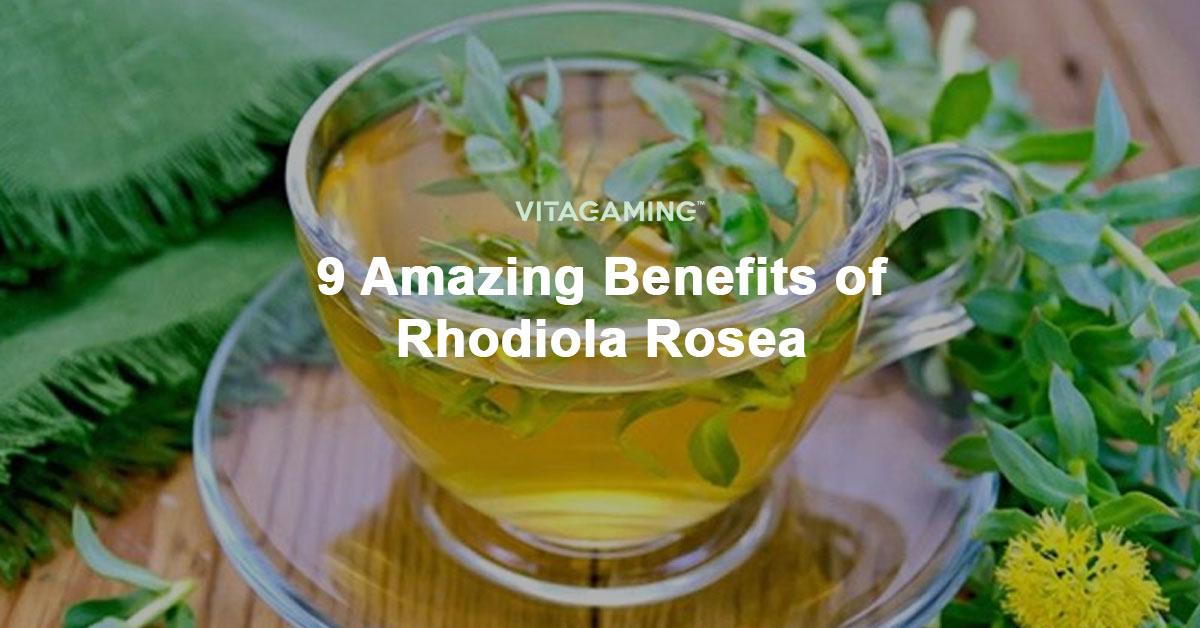 9 Amazing Benefits of Rhodiola Rosea VitaGaming